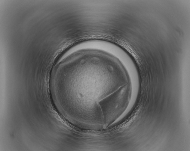 X0000112100585200908181327