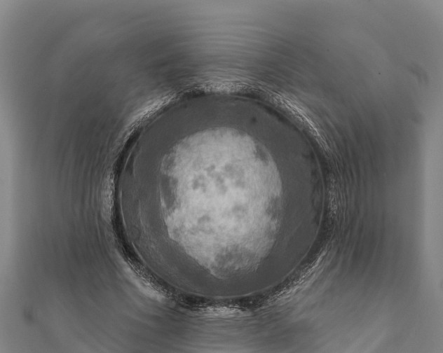 X0000112100586200908181327