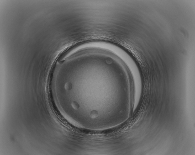 X0000112100587200908181327