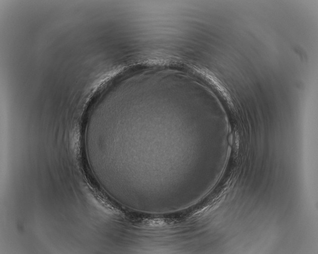 X0000112100588200908181327