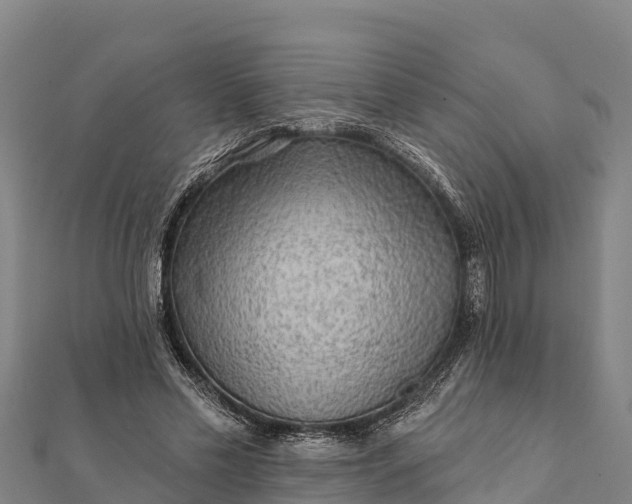 X0000112100589200908181327