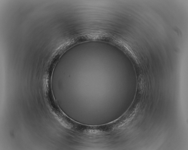 X0000112100590200908181327