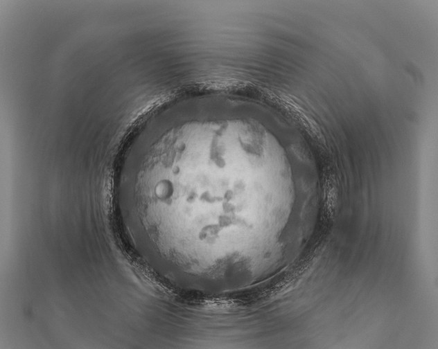 X0000112100591200908181327