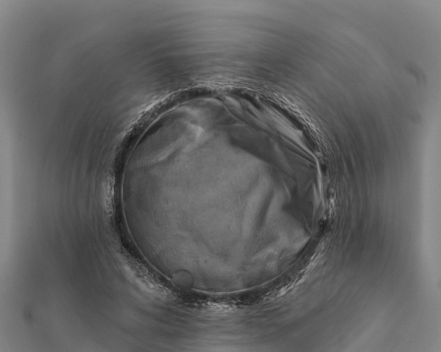 X0000112100592200908181327