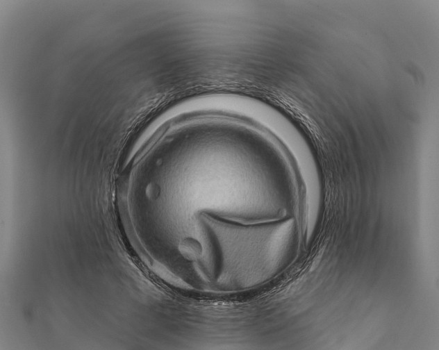 X0000112100593200908181327