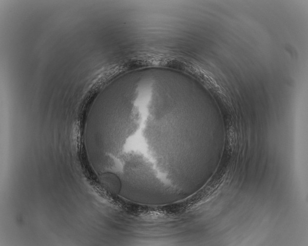 X0000112100594200908181327