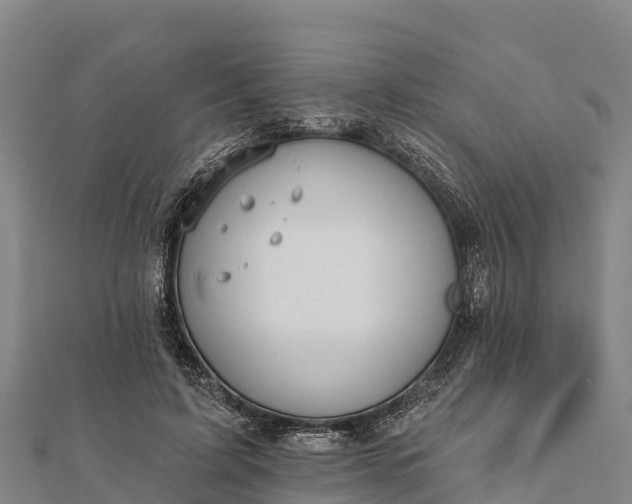 X0000112100595200908181327