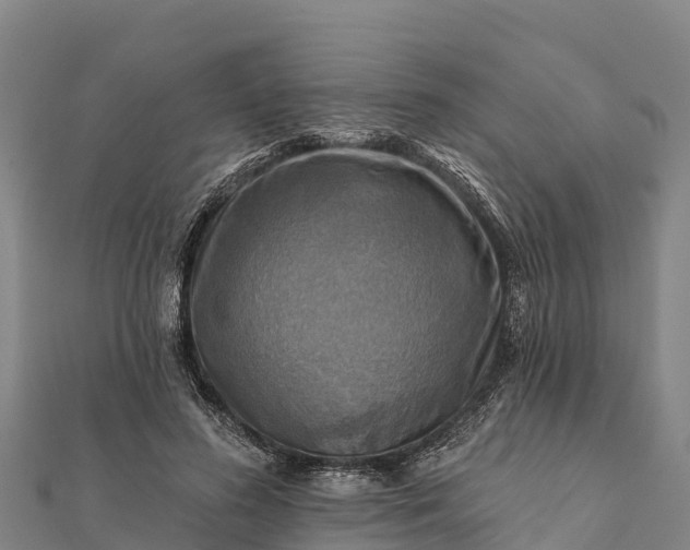 X0000112100596200908181327