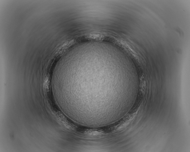 X0000112100597200908181327