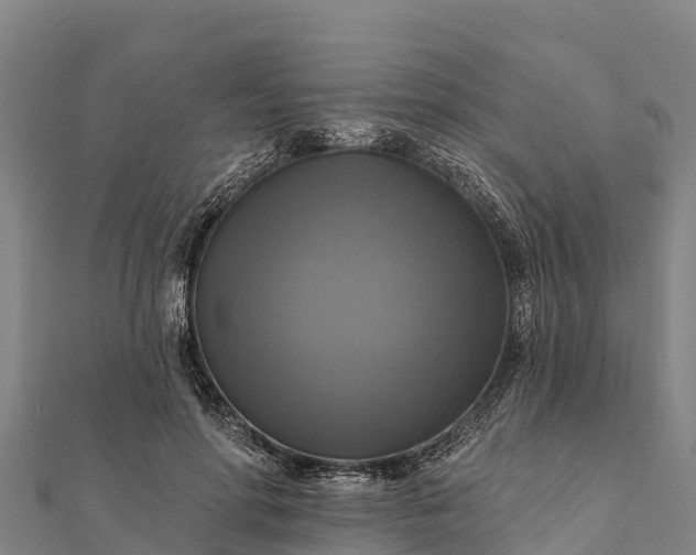 X0000112100598200908181327