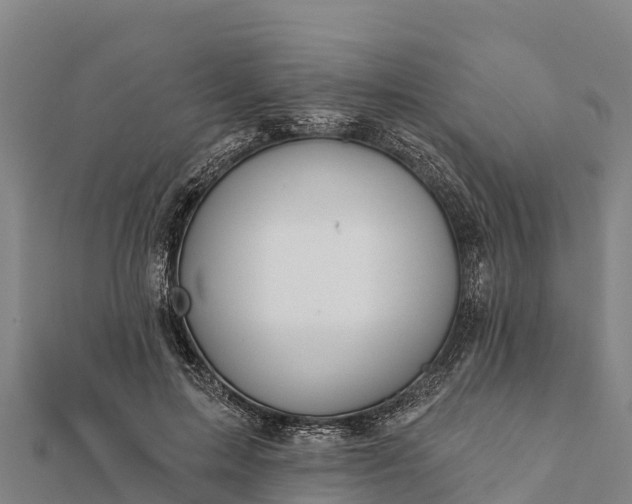 X0000112100599200908181327