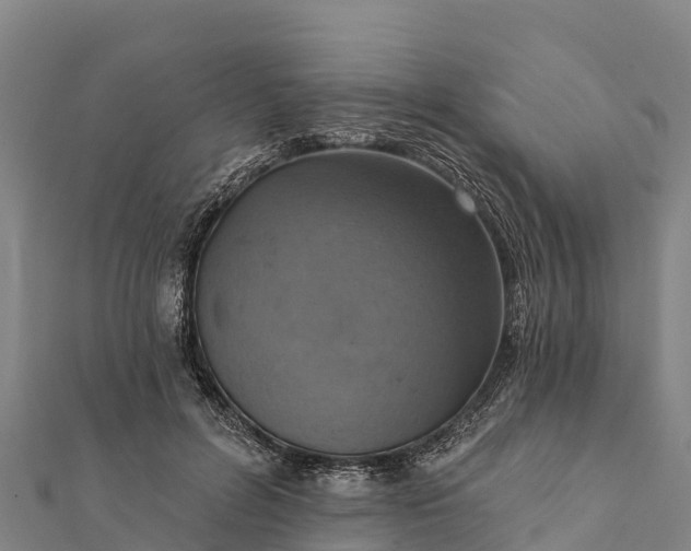 X0000112100600200908181327