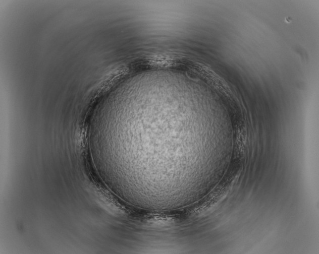 X0000112100601200908181327