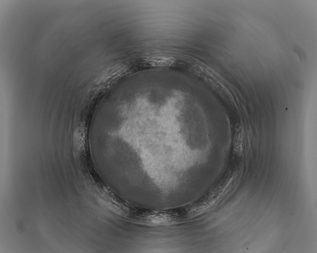 X0000112100604200908181327