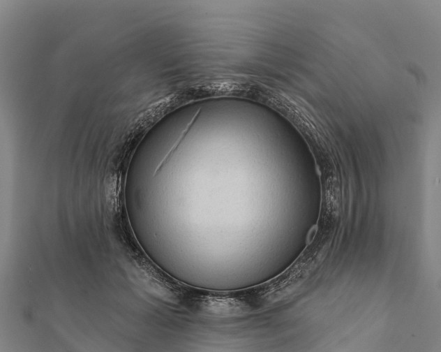 X0000112100605200908181327