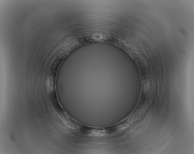 X0000112100606200908181327