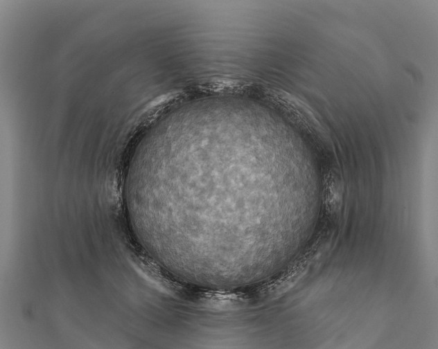 X0000112100607200908181327