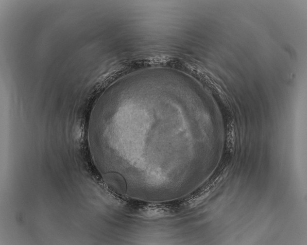 X0000112100608200908181327