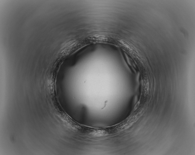 X0000112100609200908181327