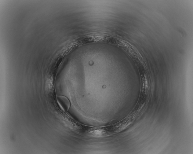 X0000112100610200908181327