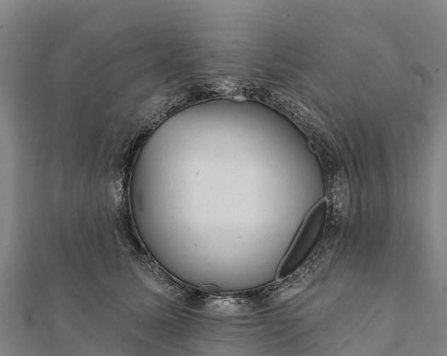 X0000112100611200908181327