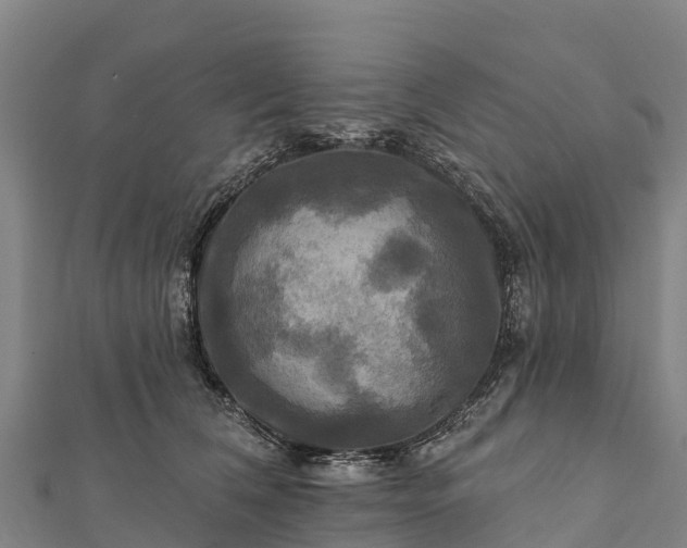 X0000112100612200908181327