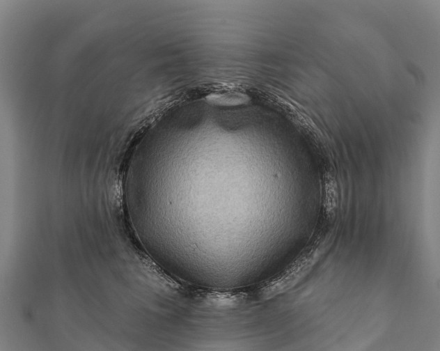 X0000112100613200908181327