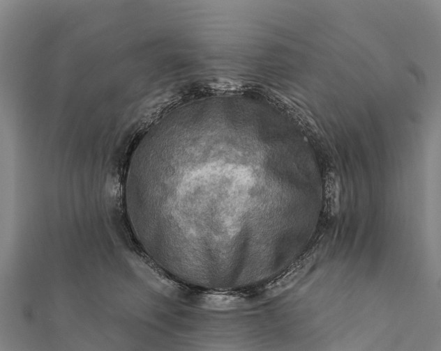 X0000112100614200908181327