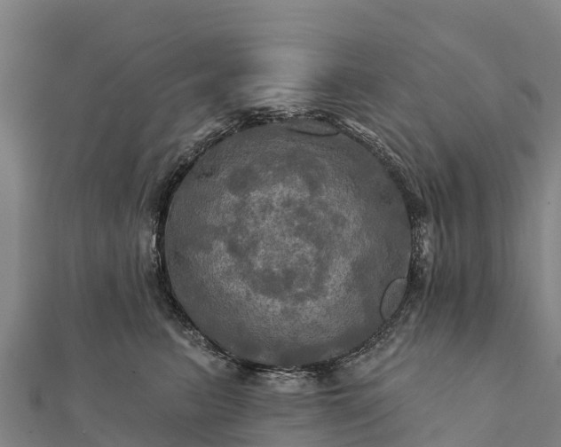 X0000112100615200908181327