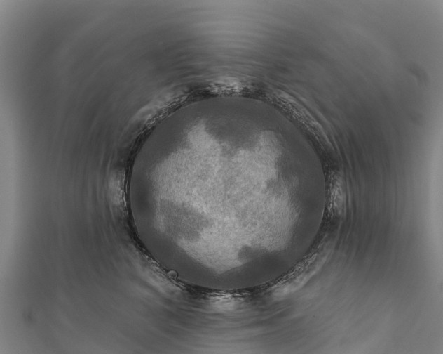 X0000112100616200908181327