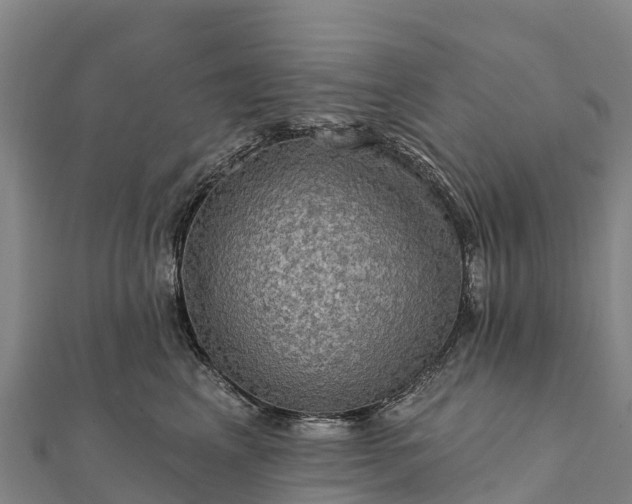 X0000112100617200908181327