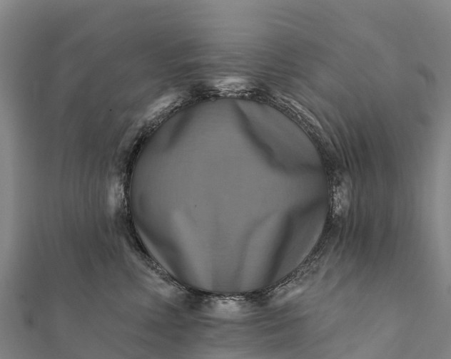 X0000112100618200908181327