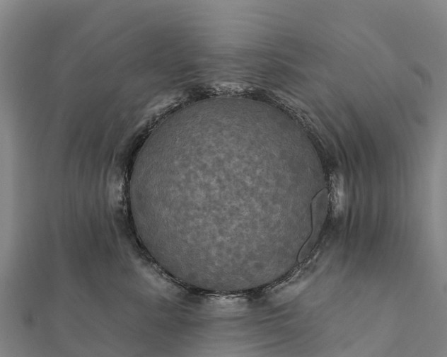 X0000112100619200908181327