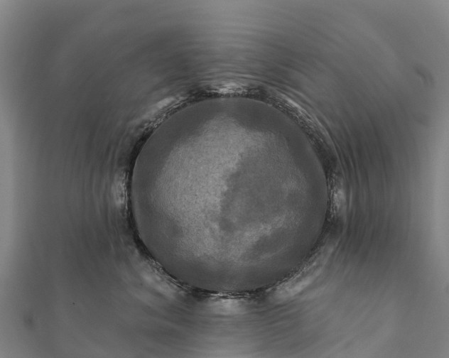 X0000112100620200908181327