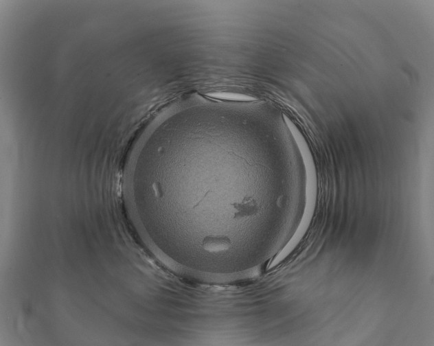 X0000112100621200908181327