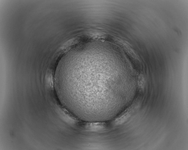 X0000112100622200908181327