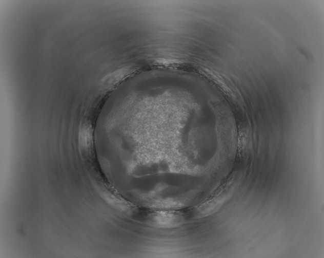 X0000112100623200908181327