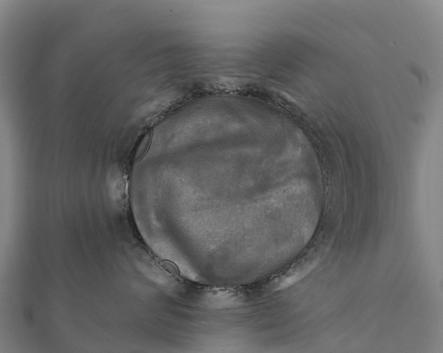 X0000112100624200908181327