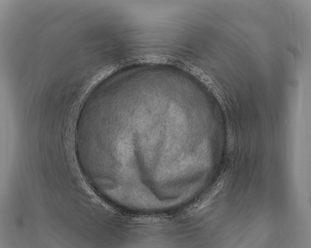 X0000112100625200908181326