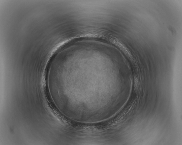 X0000112100628200908181326