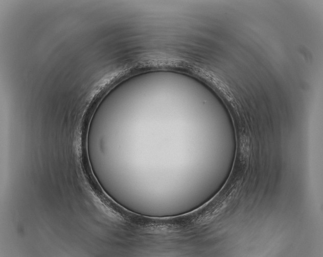 X0000112100629200908181326