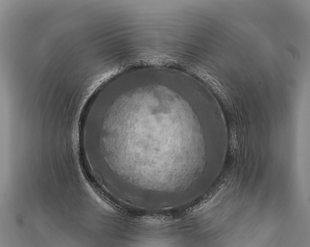 X0000112100630200908181326