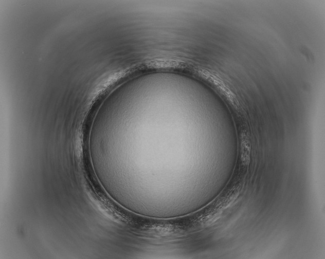 X0000112100631200908181326