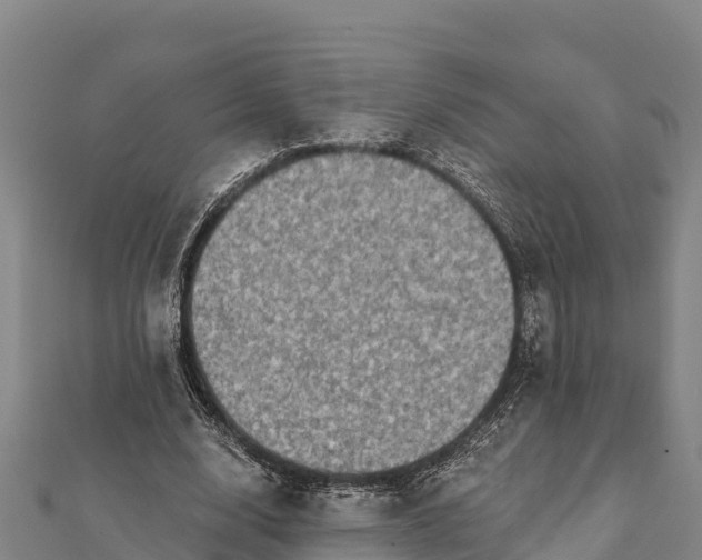 X0000112100632200908181326