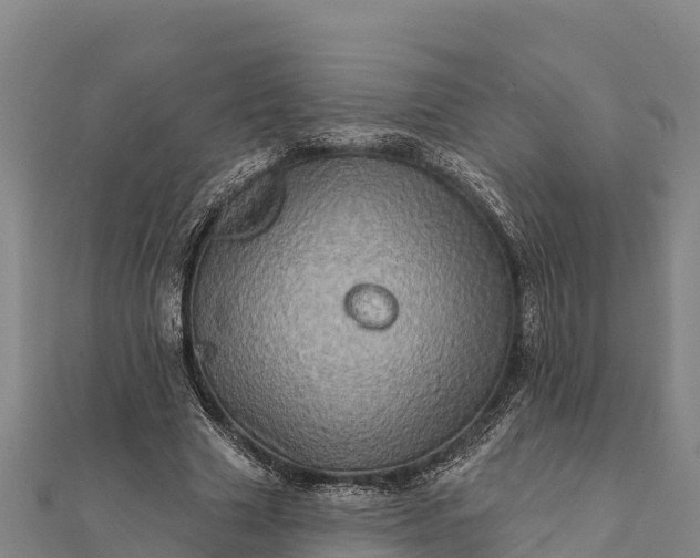 X0000112100633200908181326