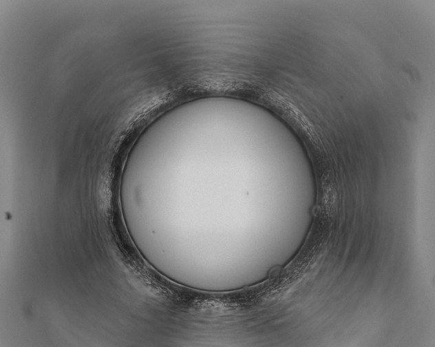 X0000112100635200908181326