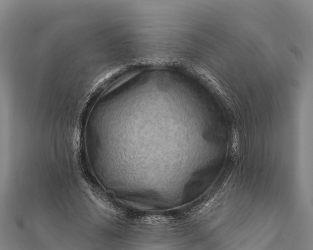 X0000112100636200908181326