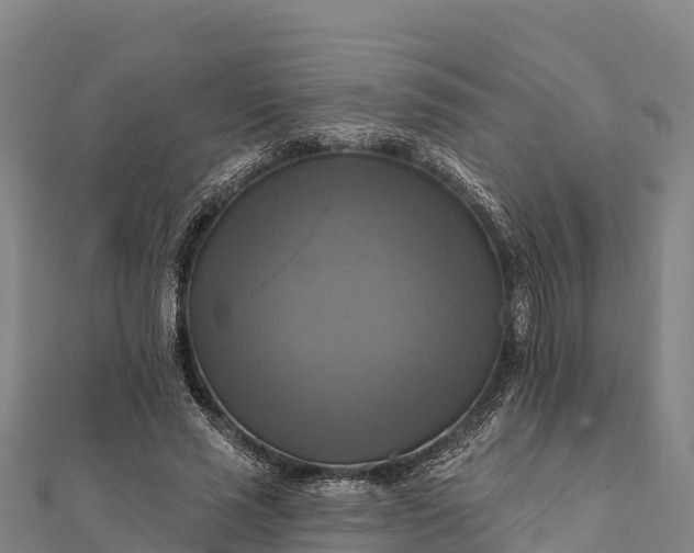 X0000112100637200908181326