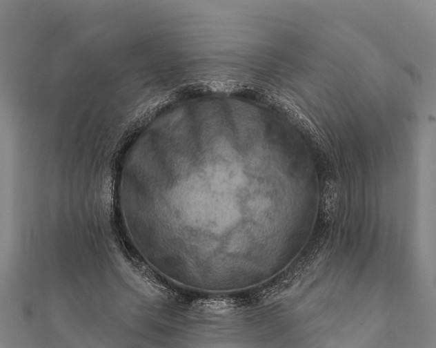 X0000112100639200908181326