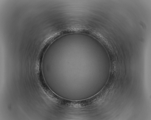 X0000112100640200908181326